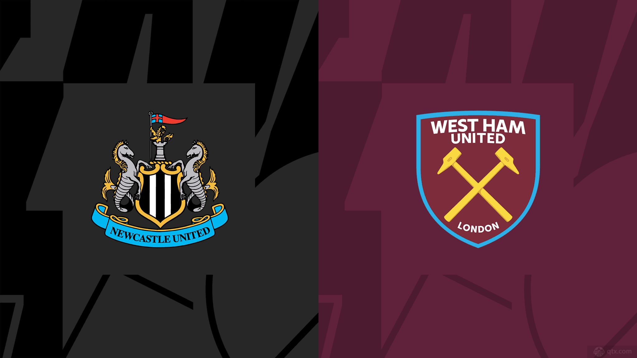 强的激情岁 强的激情岁